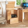Mobel Oak Printer Cupboard