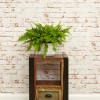 Urban Chic Lamp Table / Bedside Cabinet