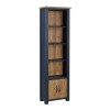 Splash of Blue - Narrow Bookcase