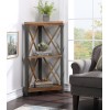 Urban Elegance - Reclaimed Small Corner Bookcase Urban Elegance - Reclaimed Small Corner Bookcase